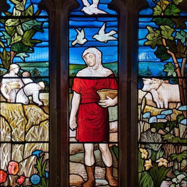 Lydford St Petrocks Stained Glass Parable Of Sower Wheat Oxen Lydford St Petrocks Stained Glass Parable Of Sower Wheat Oxen