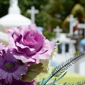 Cementerio G8b49a1507 640 Cementerio G8b49a1507 640