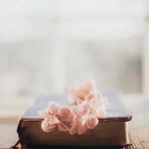 Sixteen Miles Out JTHOJfK4TOM Unsplash Sixteen Miles Out JTHOJfK4TOM Unsplash