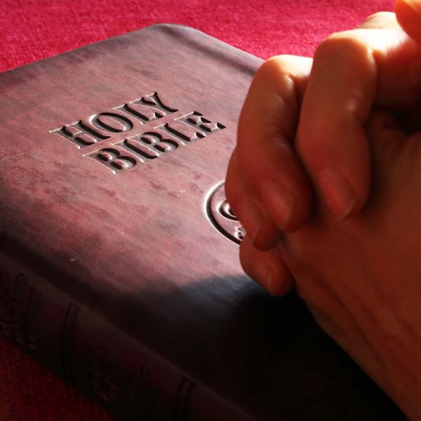 The Holy Bible