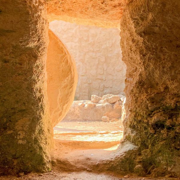 Curious about Christianity?