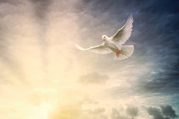 Spirit Descending Like a Dove