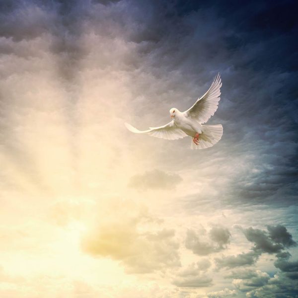 Spirit Descending Like a Dove
