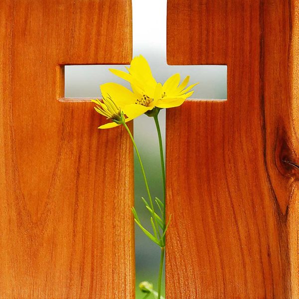 The Beauty of Christian Life